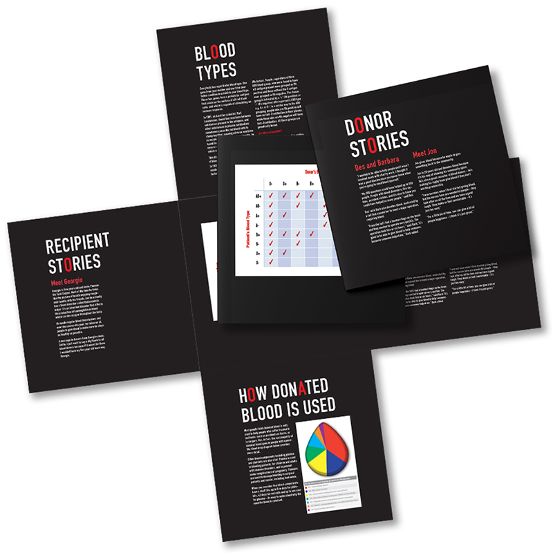 Red Cross square fold-out brochure
